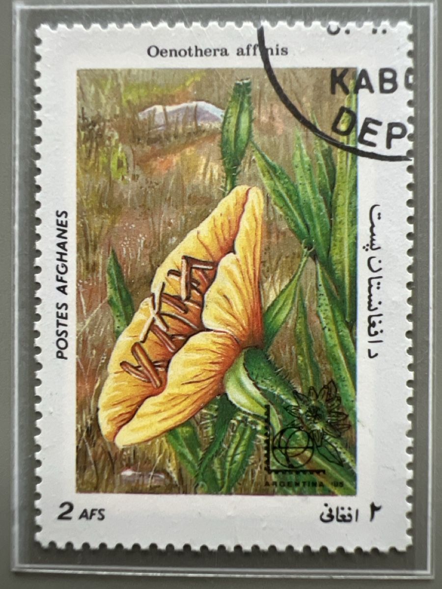 Tutti i francobolli: Briefmarken Afghanistan 1985 – Usato da Glattbrugg venduto da Artos67 1