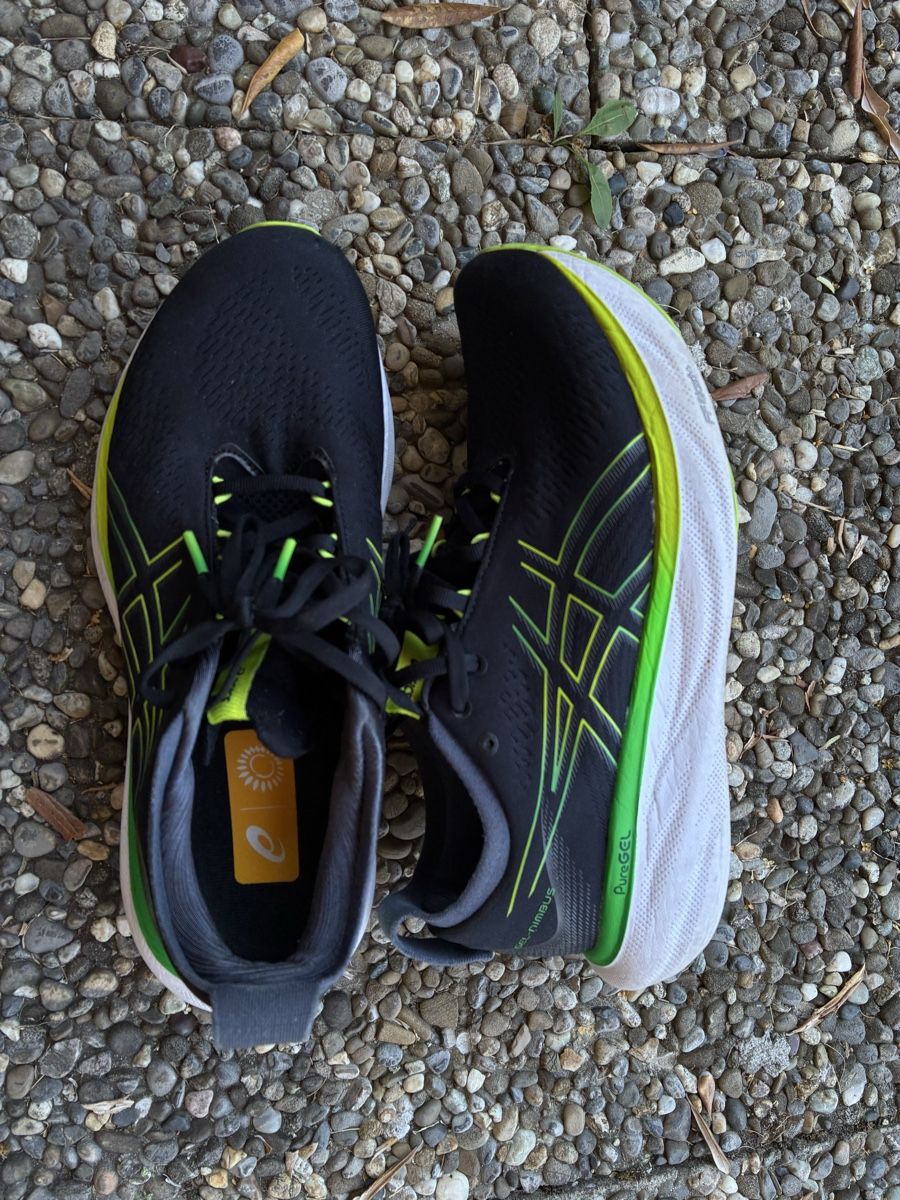 Asics Chaussures hommes: ASICS Gel Nimbus 25 – D'occasion à Gerlafingen par karmate 1