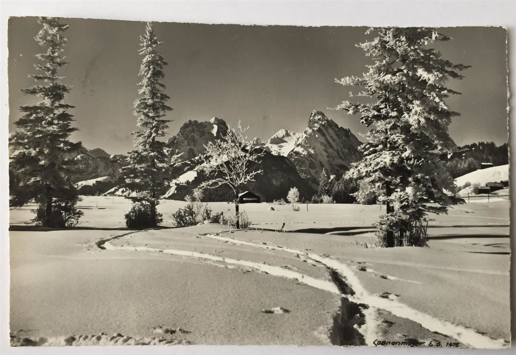 Cartoline postali: SAANENMÖSER Landschaft – Usato da Jona venduto da philajona