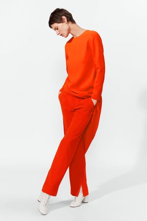 Hosenanzug Tailleur Suit avec pantalon Zara femme
