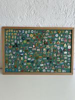 Grosse Pinsammlung Schweiz Werbung Firmen Vereine
