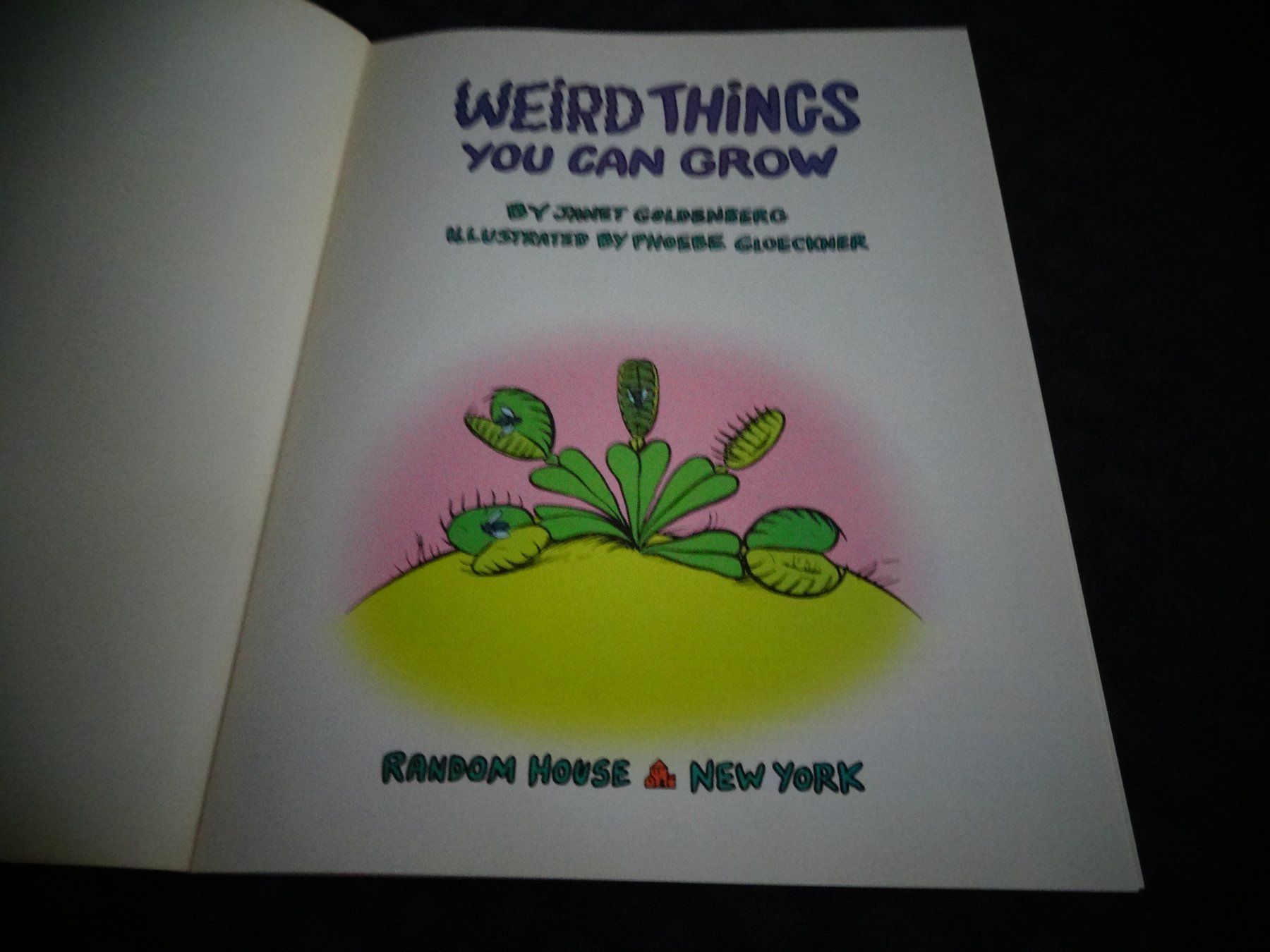 Bücher: Weird Things – Gebraucht aus Neerach von jenny062 1