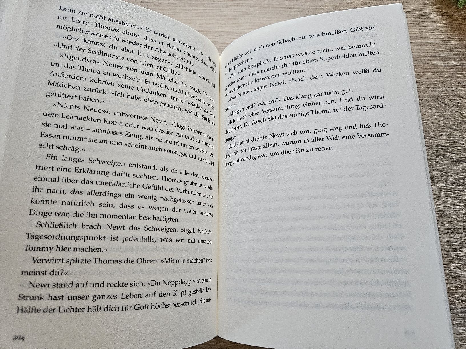 Bücher: Die Auserwählten Im Labyrinth Maze Runner James Dashner Buch – Gebraucht aus Ebikon von SecondChance_byM 4