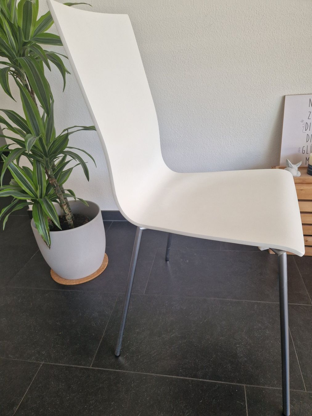 Interio Sedie: Esszimmerstühle 8 Stück – Usato da Wettingen venduto da kruemi 1