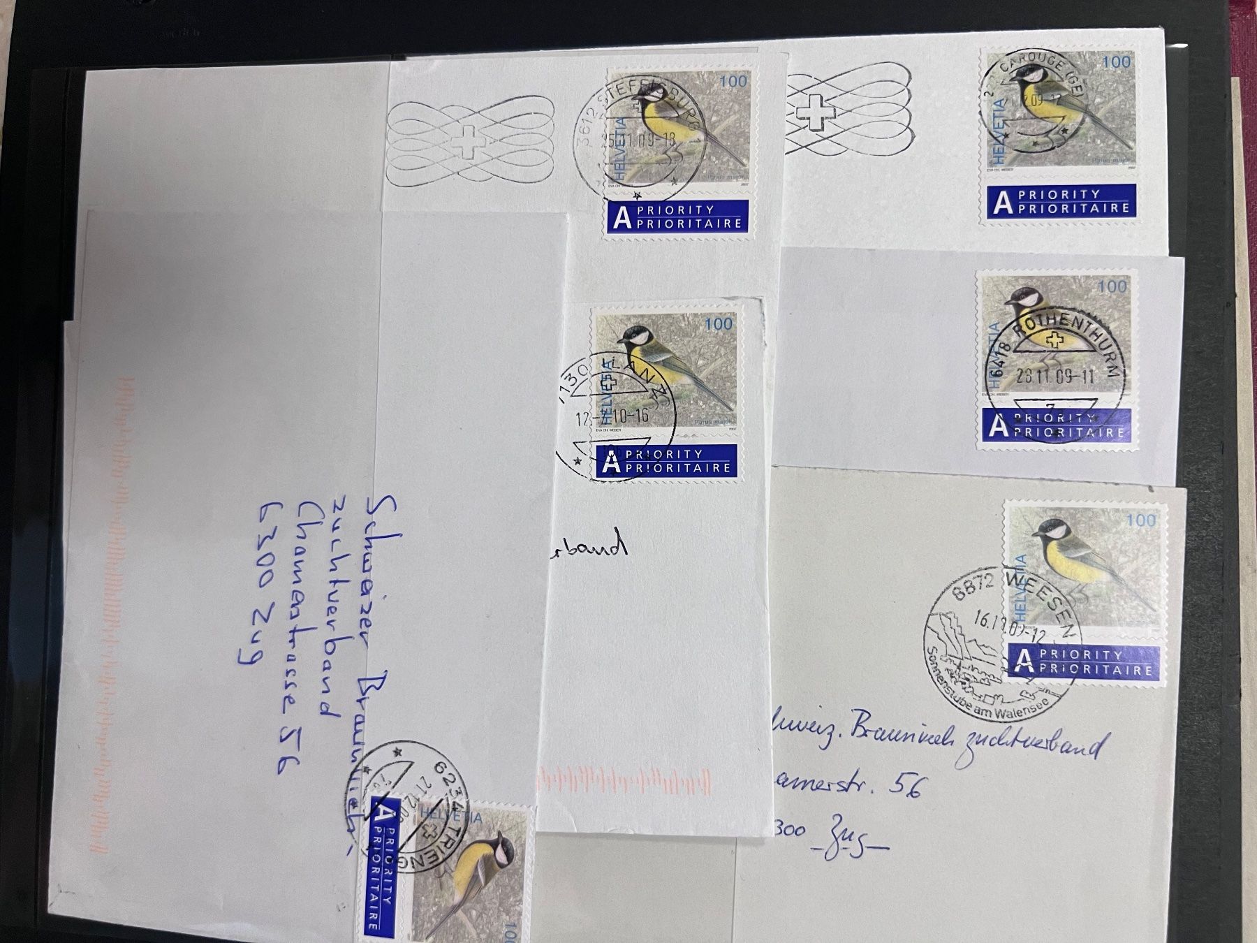 Tutti i francobolli: Briefmarken-Album Schweiz ab 1.- – Usato da Burgdorf venduto da Meltusia 5