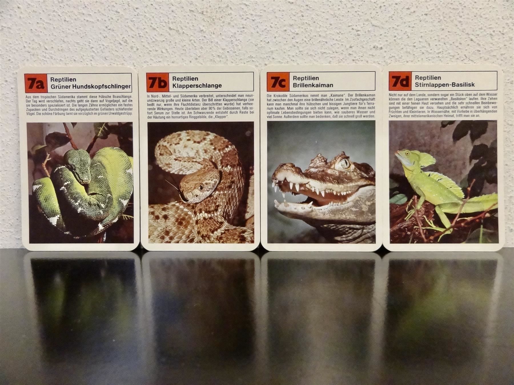 Spiele: Quartett TIER-QUARTETT ZOO-TIERE – Gebraucht aus Kerzers von wisaundso 3
