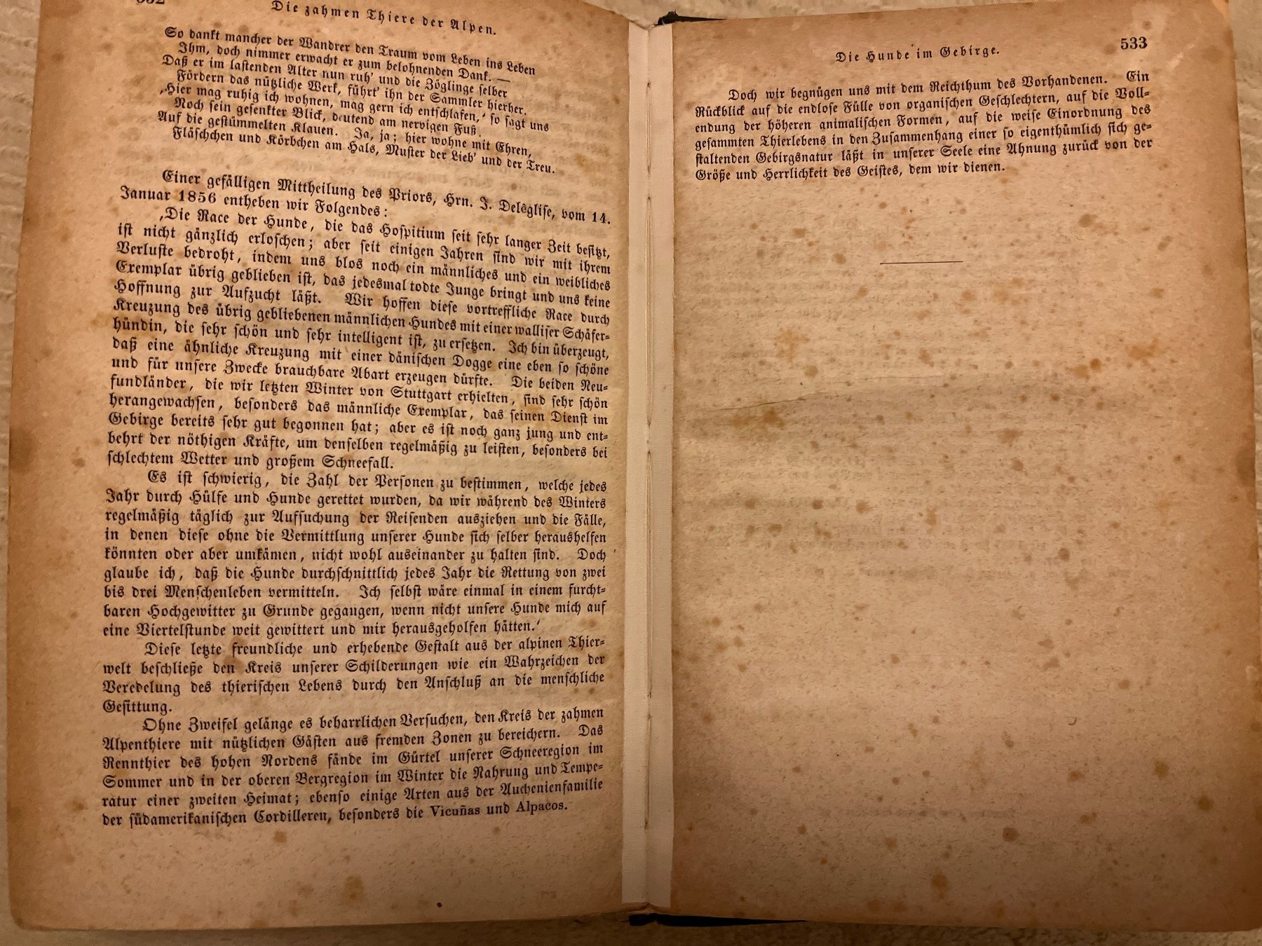 Bücher: Das Thierleben der Alpenwelt, Leipzig, 1860 – Gebraucht aus Endingen von chocosweet 4