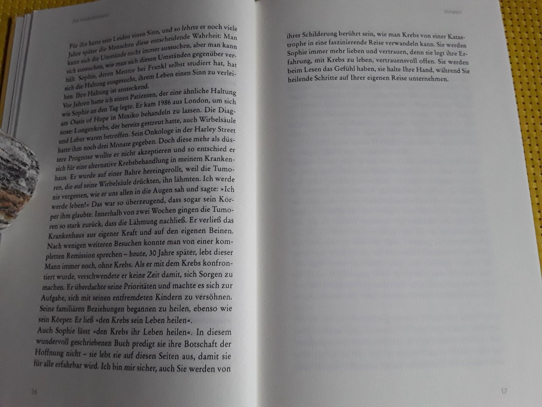 Libri: Die Krebsflüsterin – Nuovo (secondo la descrizione) da Rebstein venduto da Buchsi03 4