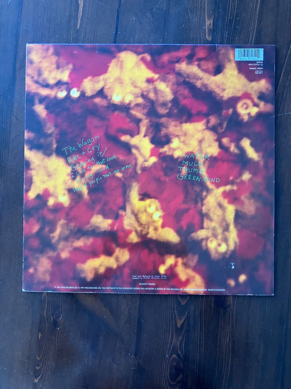 Schallplatten: DINOSAUR JR - GREEN MIND – Gebraucht aus steffisburg von Dstauffer 2