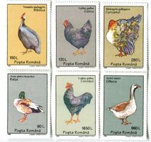Briefmarken "Hausgeflügel". Rumänien