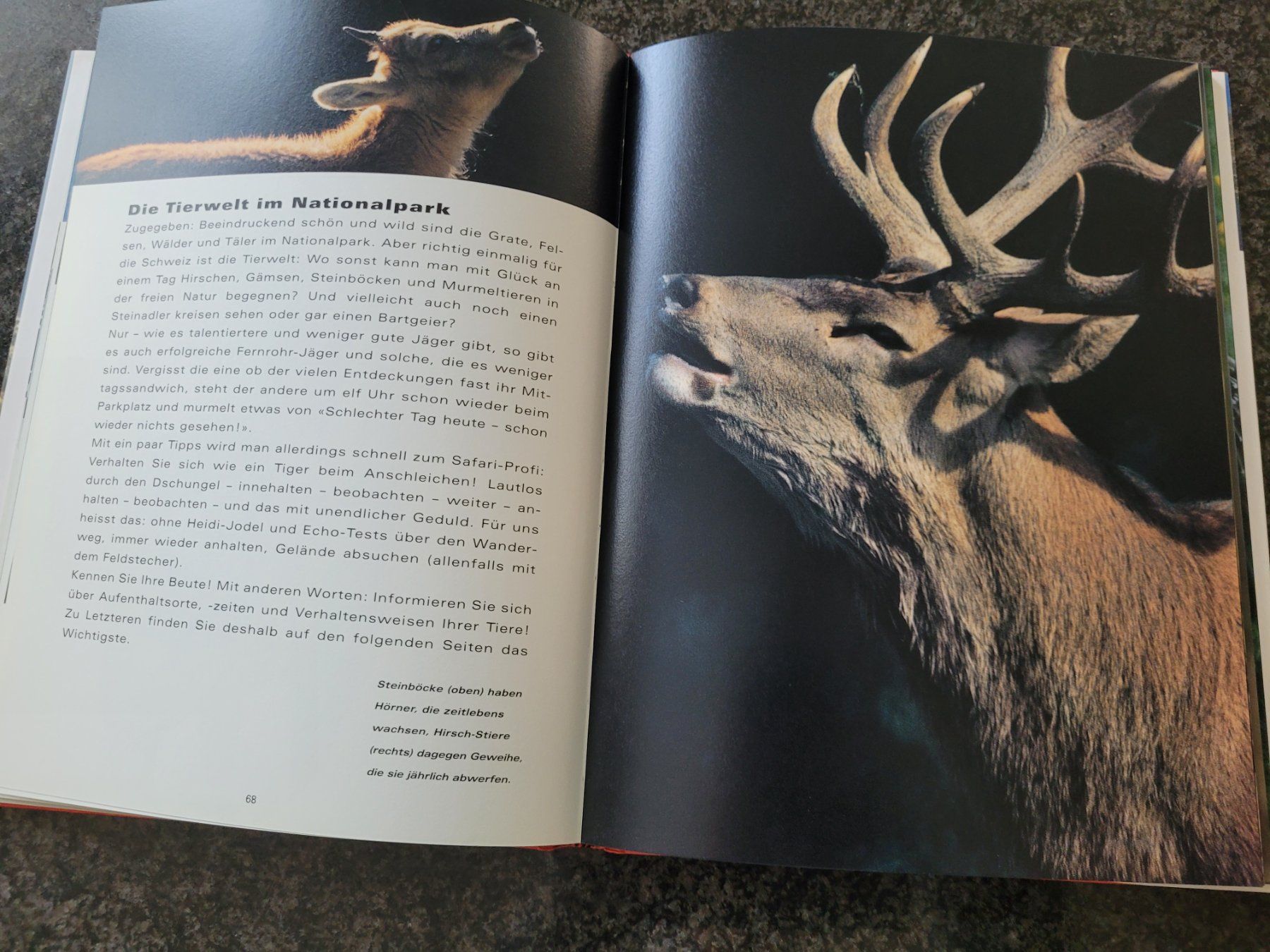 Bücher: BUCH Aussichten im SCHWEIZER NATIONALPARK, wie NEU – Neu (gemäss Beschreibung) aus Oetwil am See von swisspeak 5