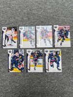 SportZoo Sammelkarten/Ambri Piotta/BaseSet
