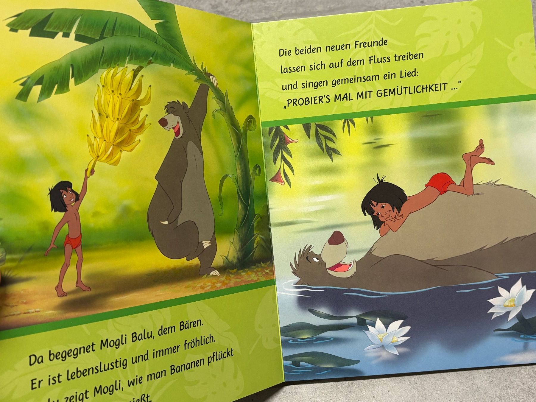 Livres: Buch Vorlesebuch das Dschungelbuch – D'occasion à Salvenach par gwenwywar 1