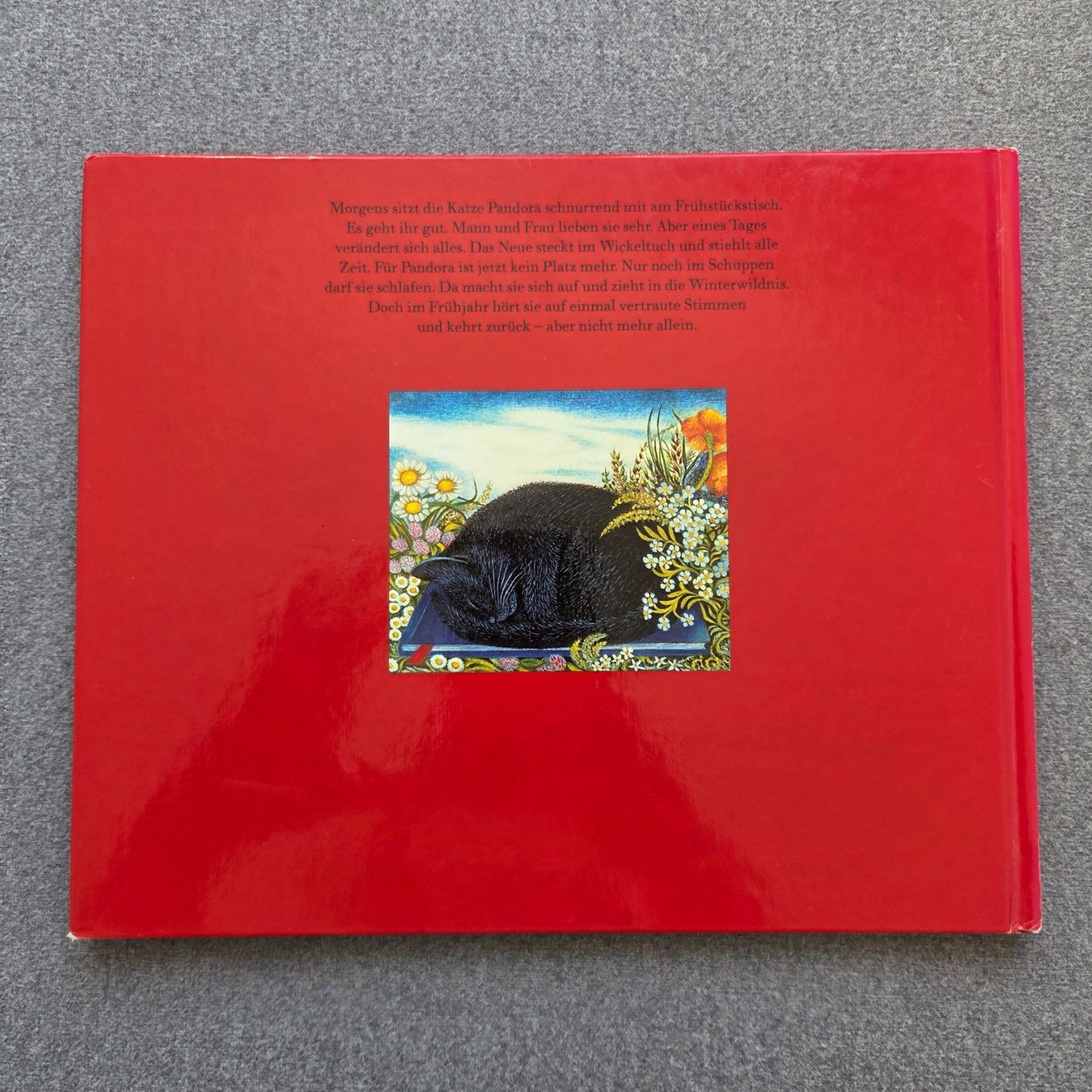 Livres: Pandora Kinderbuch – D'occasion à St.Gallen par Its.eli035 1