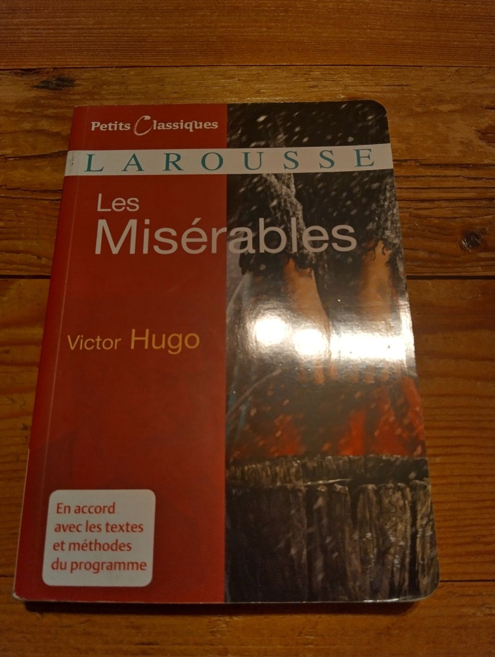 Libri: Les Misérables – Usato da Rüedisbach venduto da aendu010