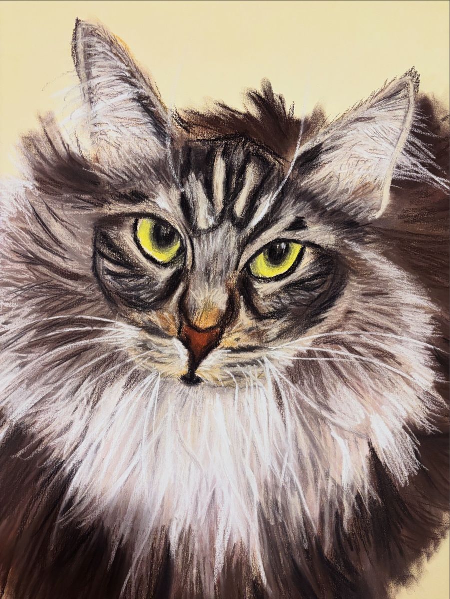 Dipinti: The cat – Nuovo (secondo la descrizione) da Wettingen venduto da mal_c2fj
