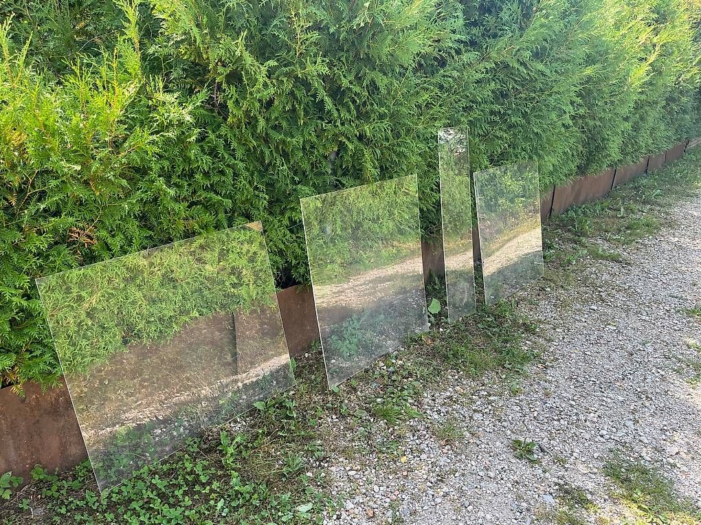 Fenster: Vitres en plexi – Gebraucht aus La Chaux-de-Fonds von dav_9c82 1