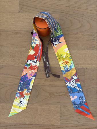 Hermès Twilly, wie neu 🤩