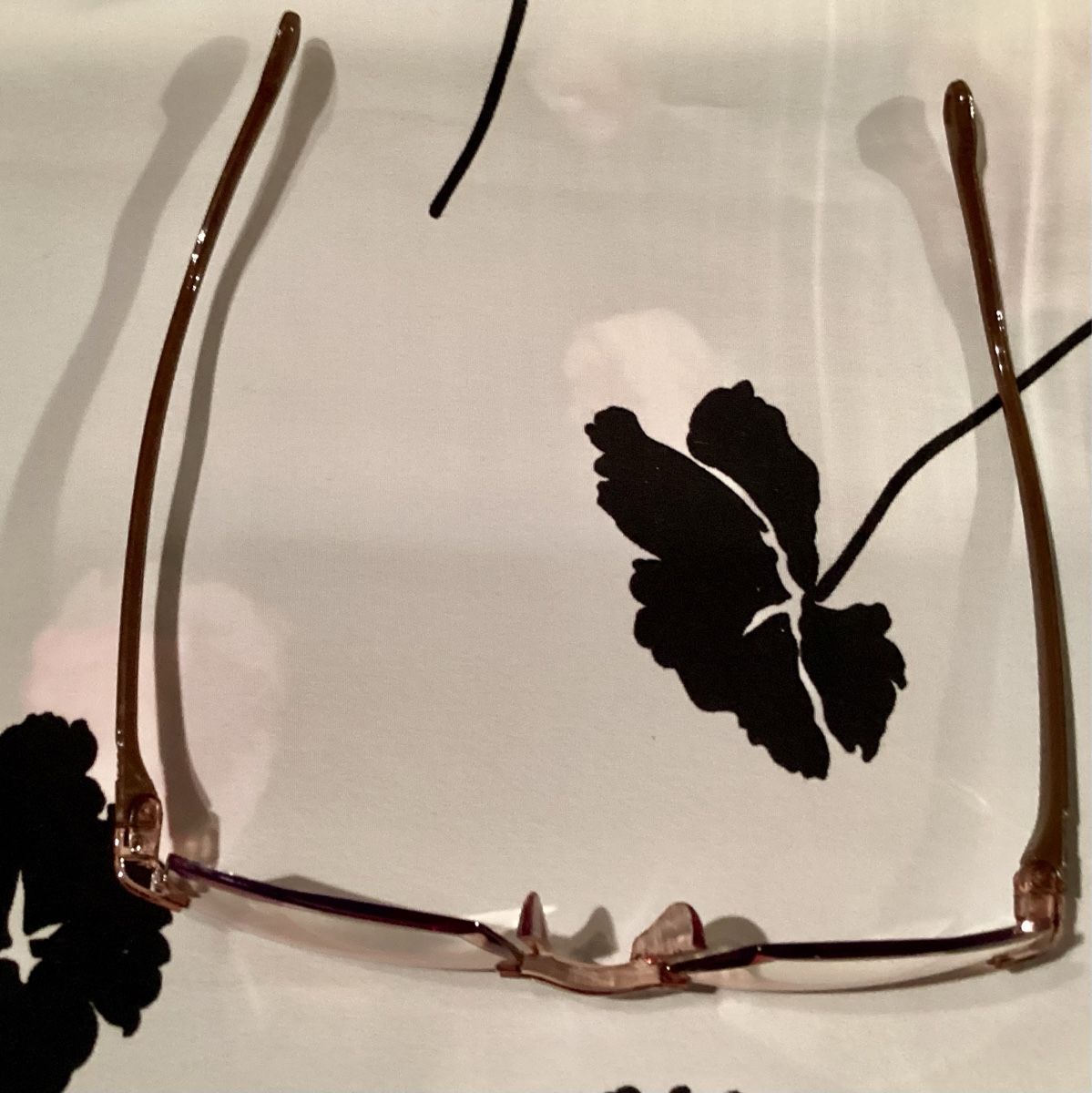 Occhiali & Lenti: Sonnenbrille WUNDERSCHÖN! – Usato da Bellinzona venduto da wav_72pt 3