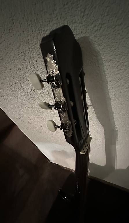 Strumenti musicali: Royal Gitarre – Usato da Zürich venduto da Tarmosas1 2