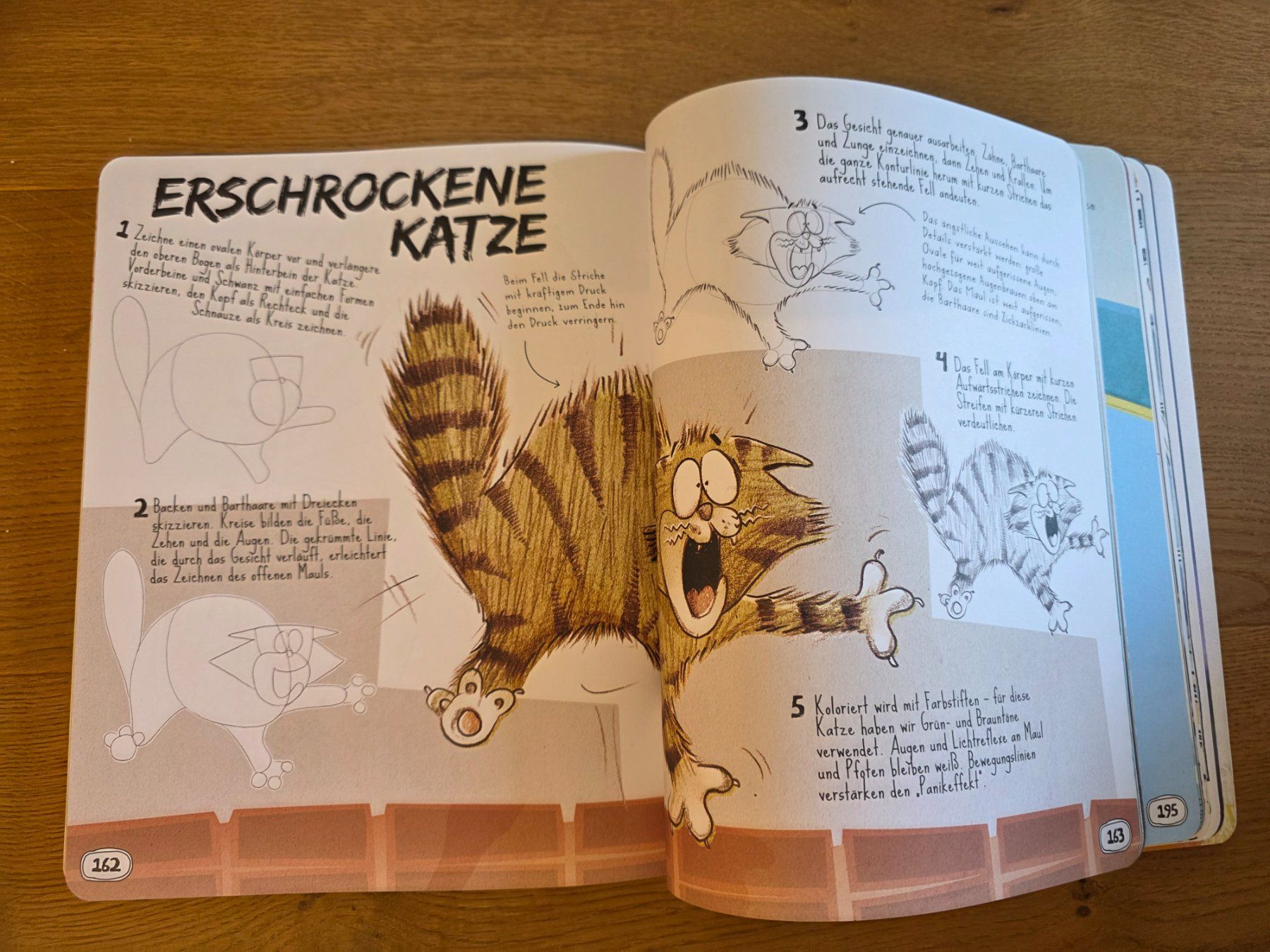 Libri: Buch "Einfach zeichnen! Step by Step" – Nuovo (secondo la descrizione) da Richterswil venduto da adora88 3