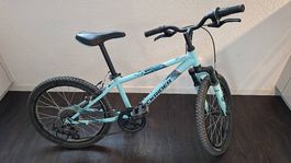 Kindervelo Rockrider ST500 20"