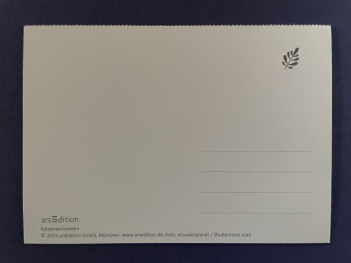 Cartoline postali: AK mit Katzenweiheit – Usato da Rümlang venduto da Kartenpost1 1