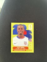 Panini USA 12