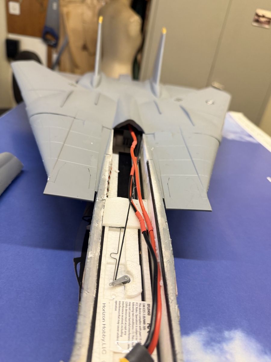 E-Flite Modellismo RC: F14 E-flight – Difettoso da Chêne-Bougeries venduto da Varioskyfox1982 3