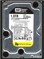 1TB (1000GB) WD1003FBYX Enterprise - neuwertig (2x)