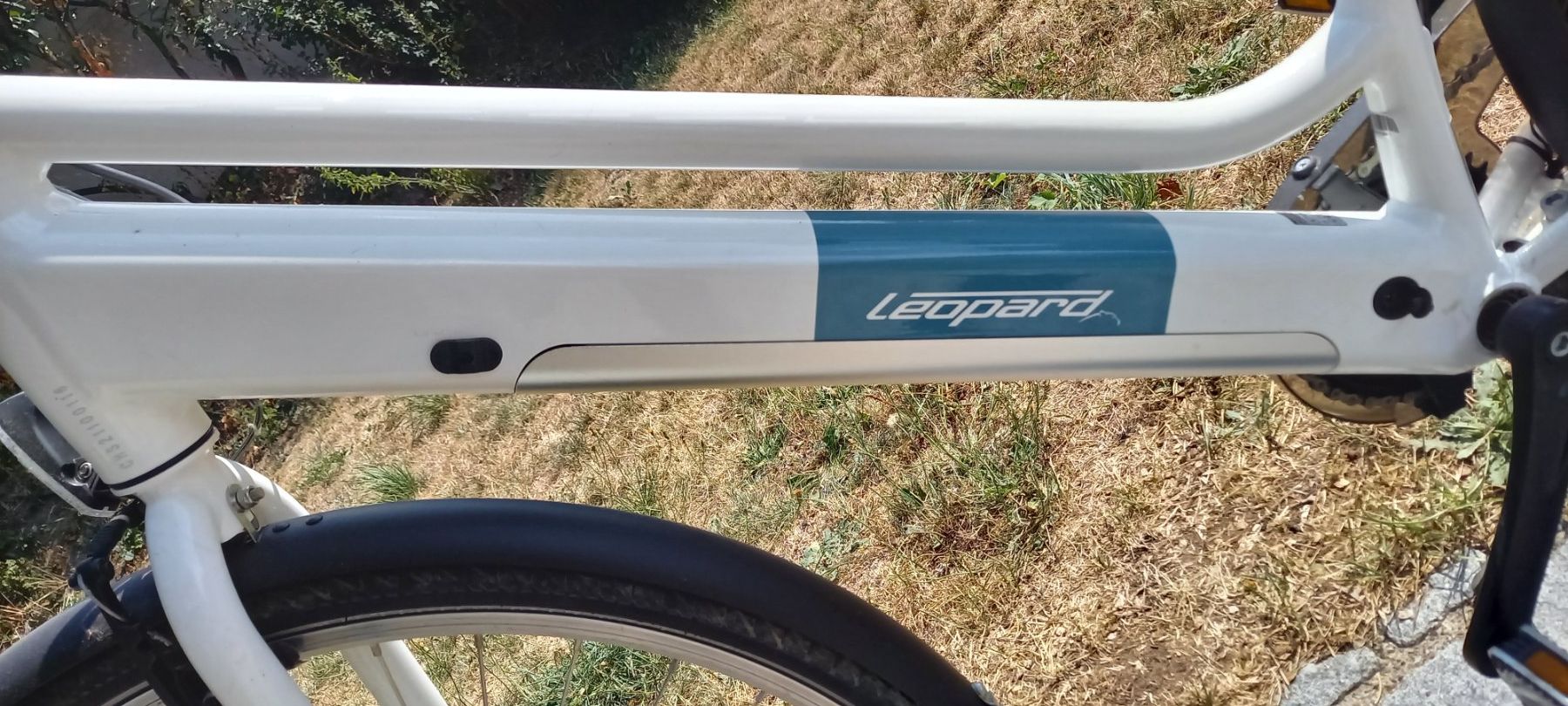 Leopard Velos: E Velo city cruiser – Gebraucht aus Höri von bsc_68fw 1