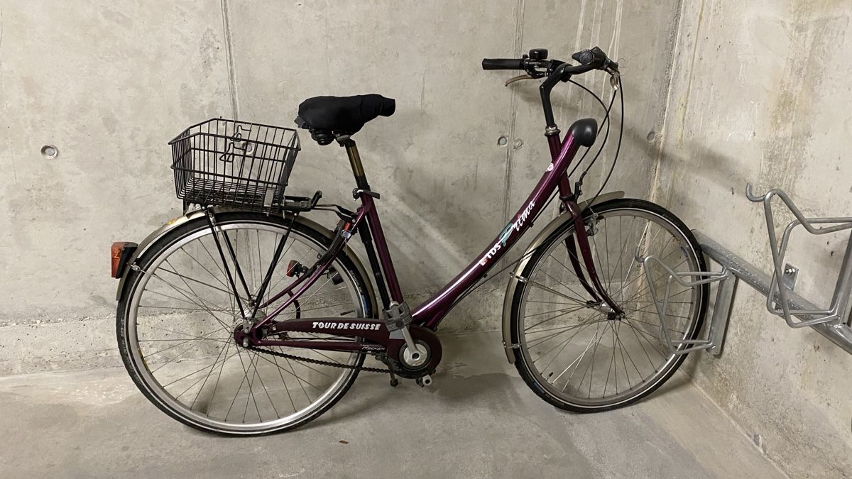 Velos: Fahrrad – Gebraucht aus Breitenbach von atina95