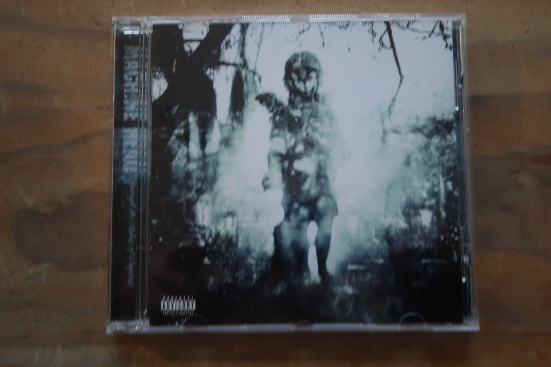 CDs: MACHINE HEAD - THROUGH THE ASHES OF  - CD – D'occasion à Basel par Patiscat