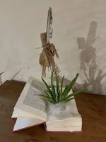 Aloe Vera im Buch