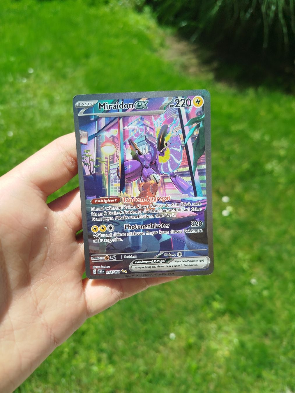 Pokémon Carte collezionabili: Pokémon Miraidon 244/198 – Nuovo (secondo la descrizione) da Rheinfelden venduto da pru_9fqg