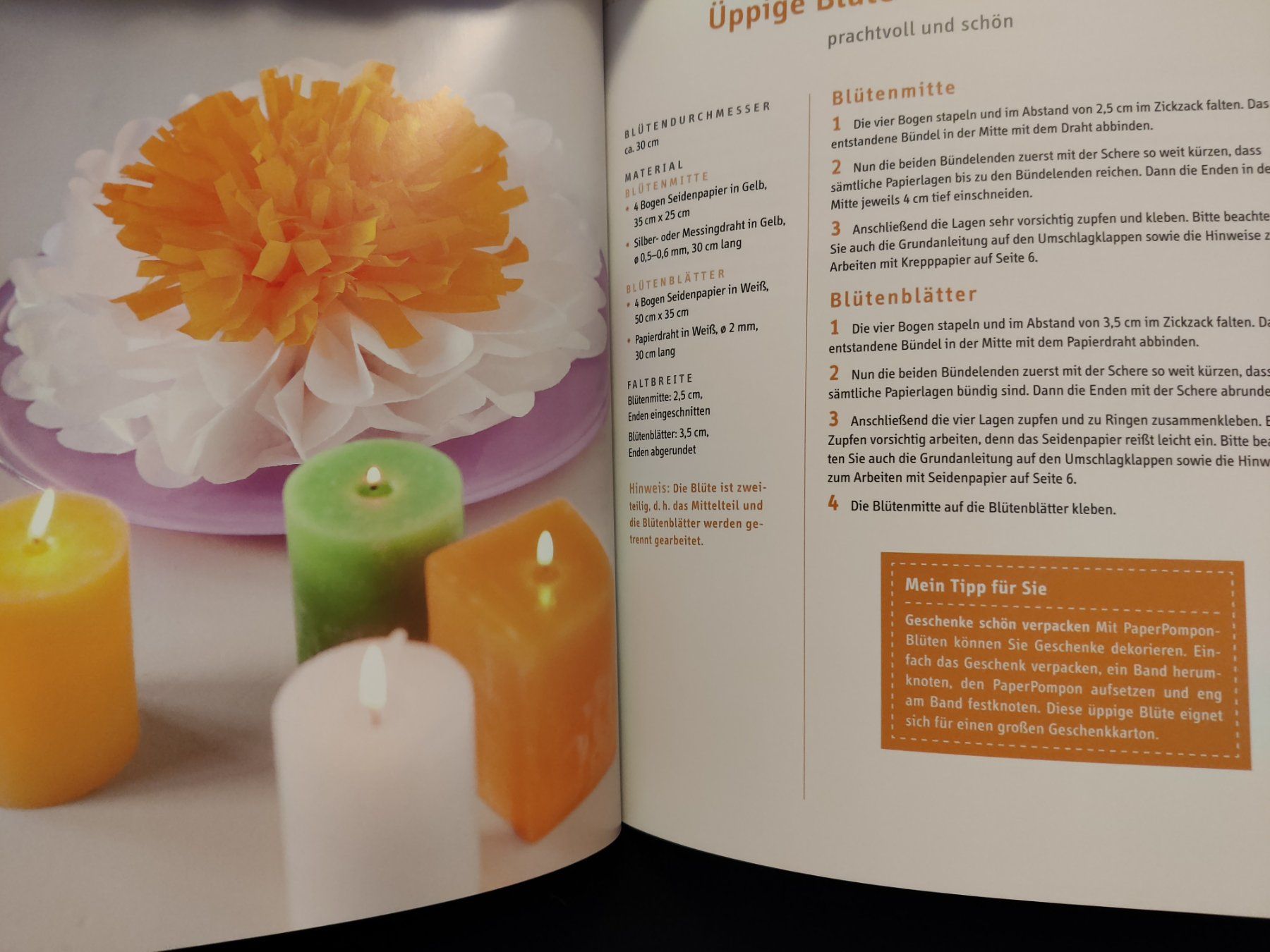 Libri: * Dekorative PaperPompons selber machen / TOPP - Täubner – Usato da Muttenz venduto da Negnuja 2