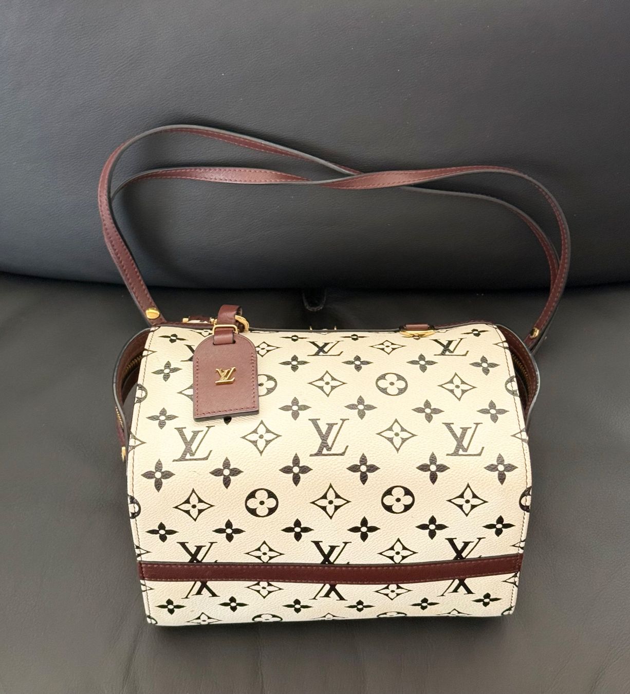 Louis Vuitton Borse da donna: Louis Vuitton Speedy Amazon PM – Usato da Reinach AG venduto da RobbisB 6