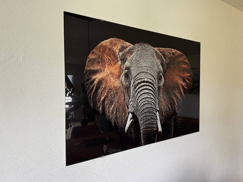 Foto & Immagini: Glasbild Elefant – Nuovo e nell'imballaggio originale da Villmergen venduto da Sabsi92