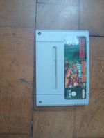 Donkey Kong country 