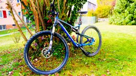 Mountain bike Wheeler Falcon 30 taglia L