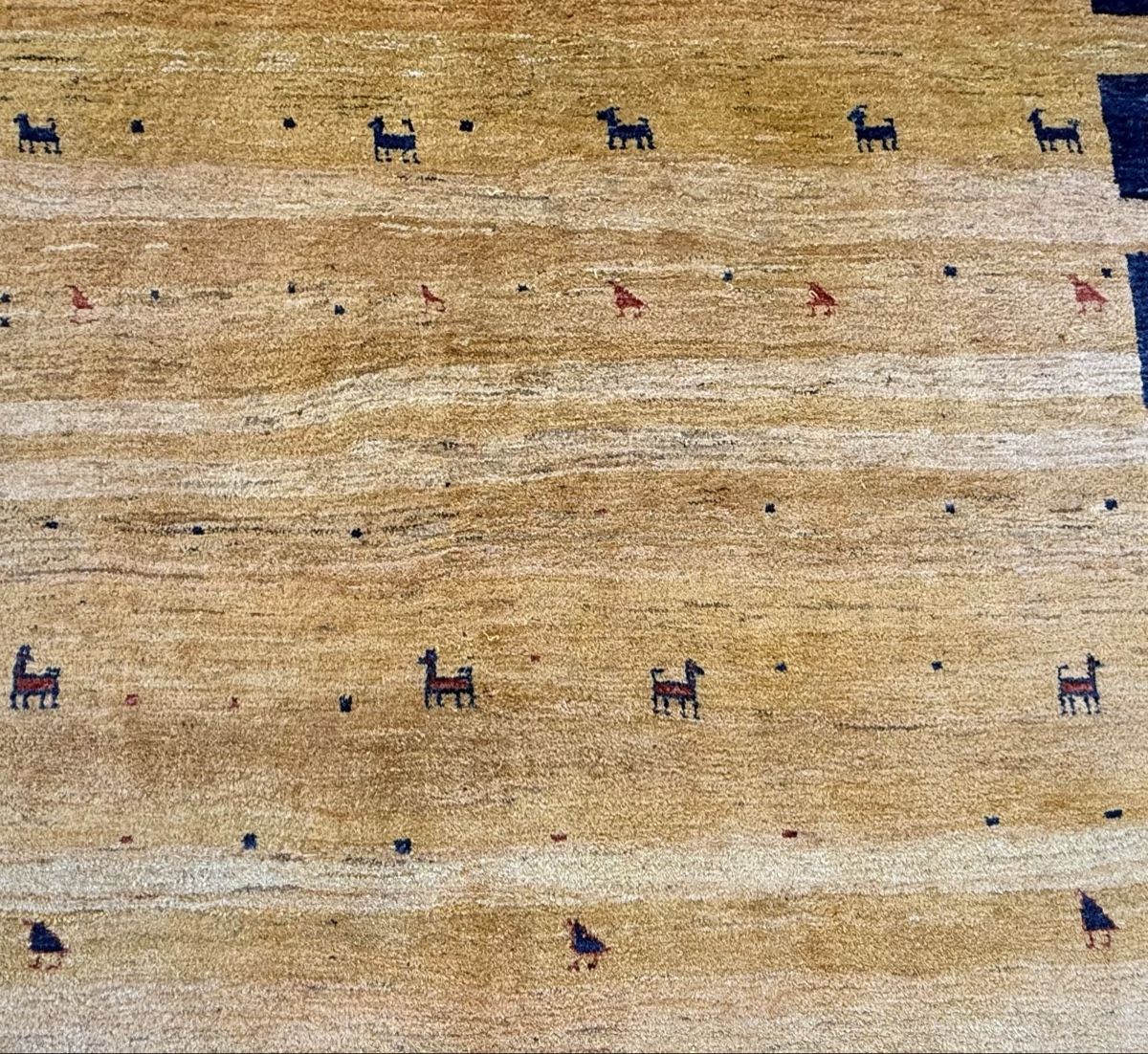 Gabbeh Teppiche: Wunderschöner Gabbeh Perserteppich 244x228.cm – Gebraucht aus Sempach von Star7 2