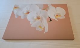 Leinwandbild mit Orchideen Motiv