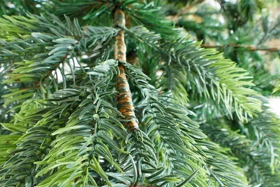 Tutte le decorazioni: Künstlicher Weihnachtsbaum 210 cm – Nuovo e nell'imballaggio originale da Bottighofen venduto da zaap 3
