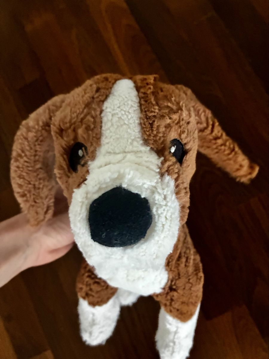 Spielzeuge: Plüschtier Hund – Neu (gemäss Beschreibung) aus Unterengstringen von vivienneberger 1