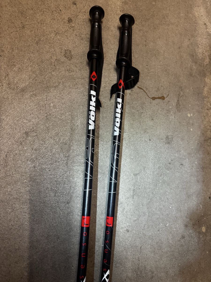 Völkl Bâtons de ski: Völkl Ski Poles, Black – D'occasion à Zürich par forestF4iry 1