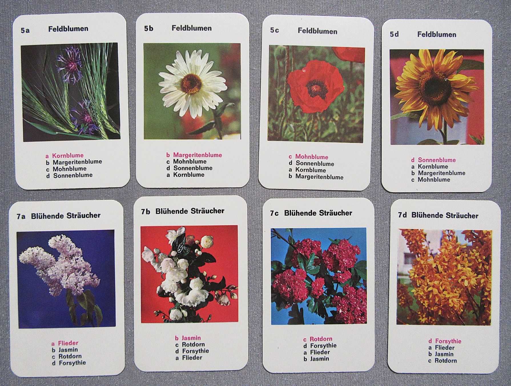 Giochi: Quartett  - Die schönsten Blumen - mit 32 Karten – Usato da Auenstein venduto da Padabimbim 4