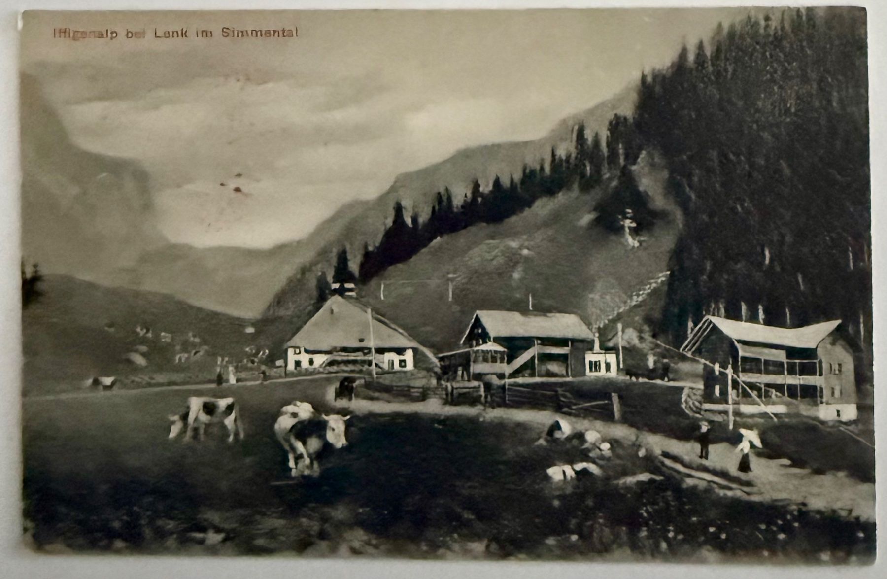 Ansichtskarten: Lenk - Iffigenalp - Kühe - Animation 1909 – Gebraucht aus Lutry von Ediego