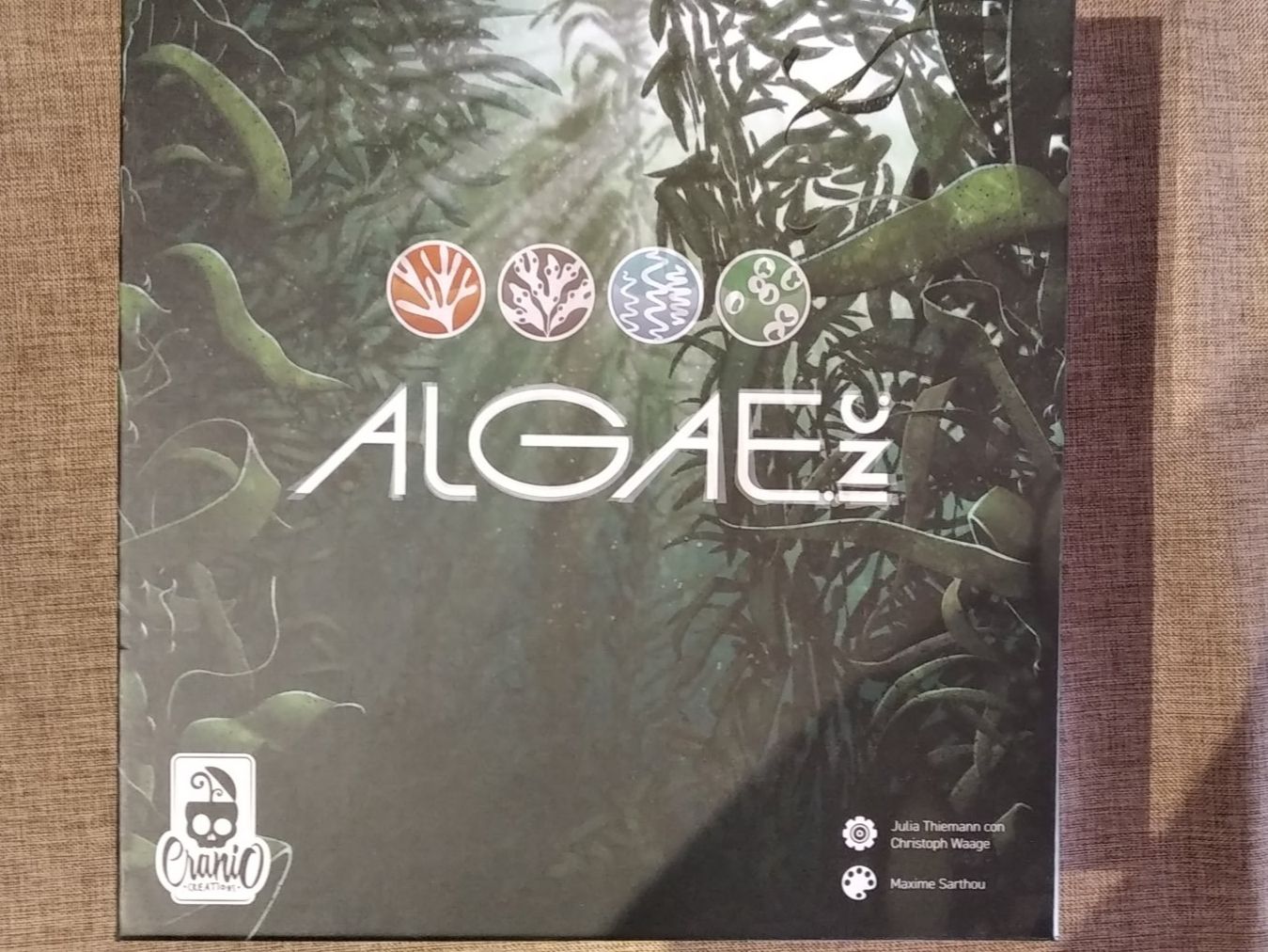 Giochi: Algae Inc. - Jeu de société neuf – Nuovo (secondo la descrizione) da Aigle venduto da Colargolator