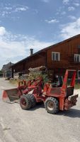 Weidemann 3000 Radlader 3543 DM Betriebsstunden 03995