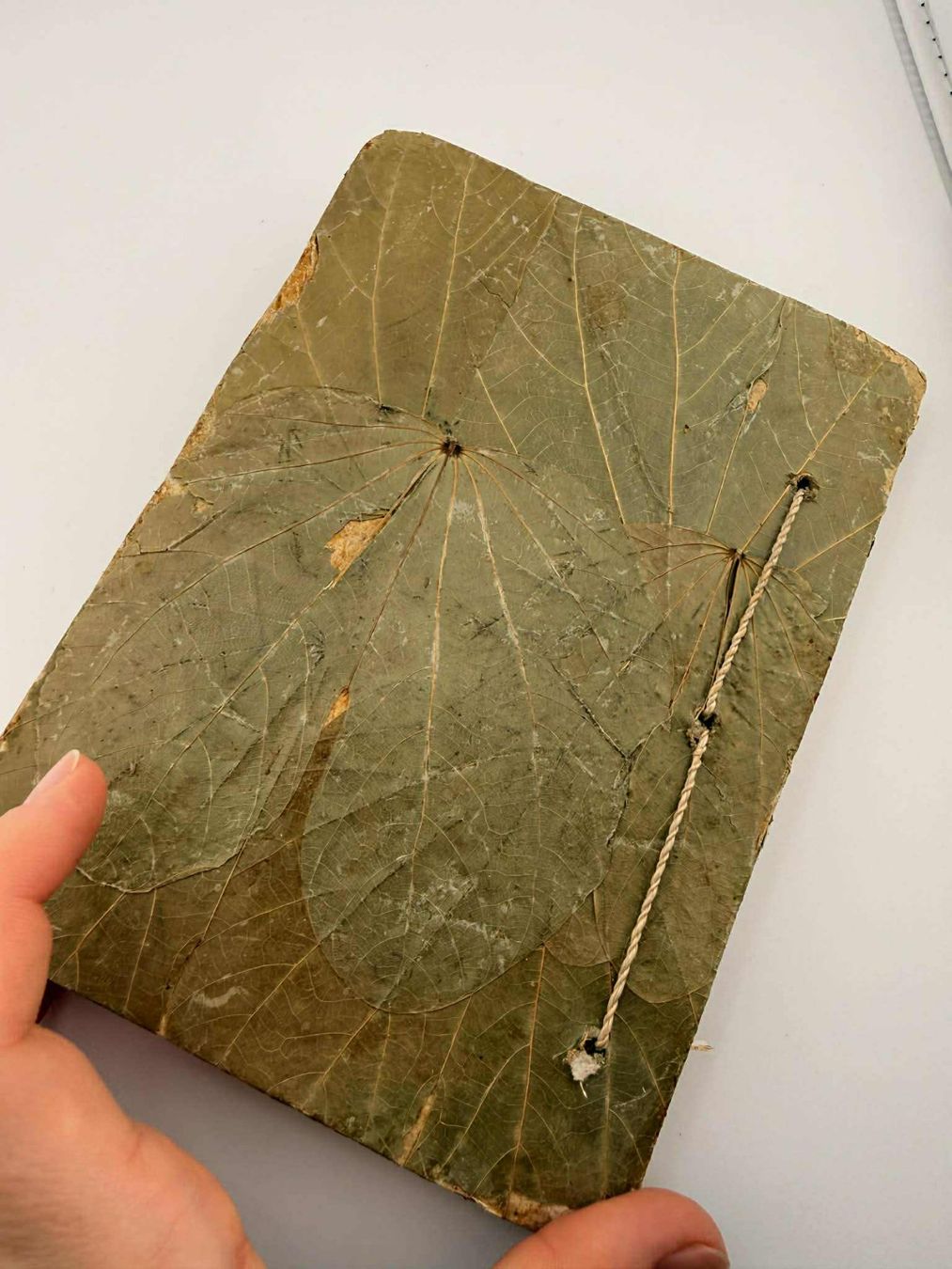 Bücher: Vintage Pflanzen-Dekor✅ – Neu (gemäss Beschreibung) aus Riehen von edu_92w7 7